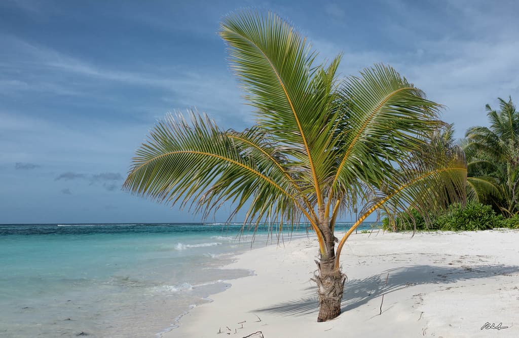 Fushifaru Beach
