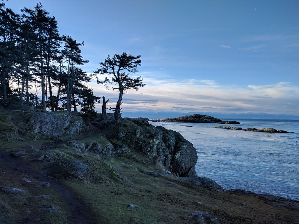 Shark Reef Beach