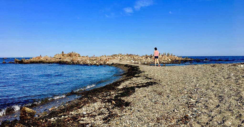 Jaffrey Point Beach — photo by Mark Bonica