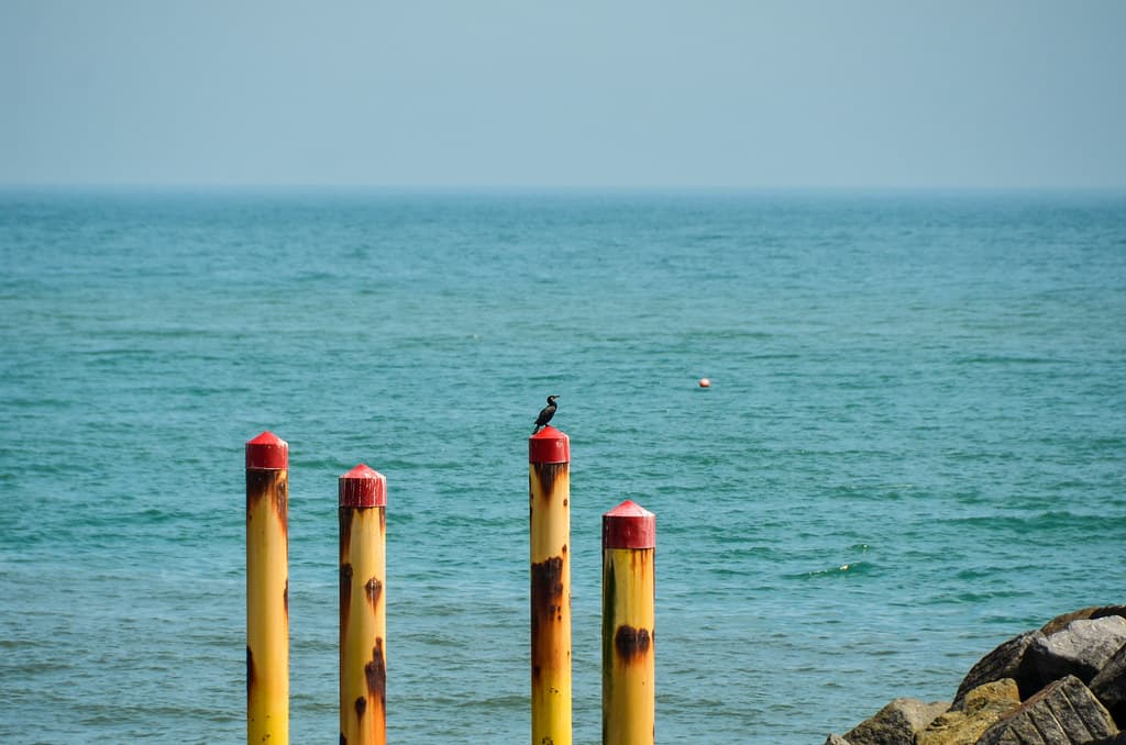 Castlehaven Beach — photo by fuji.tim