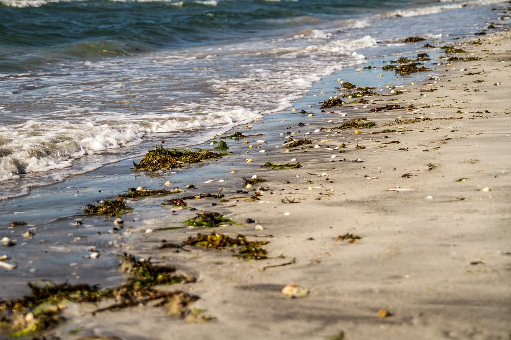 Flaggy Shore — photo by ni.c