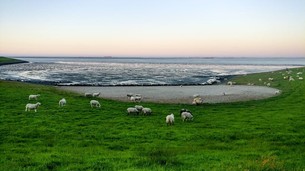 Eemshaven Beach — photo by jbdodane