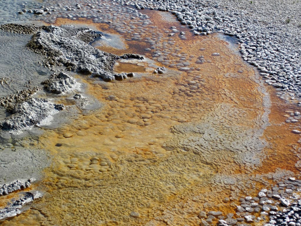 Tardy Geyser (late afternoon, 31 July 2017) 9