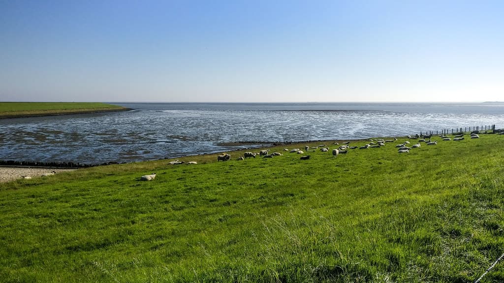 Eemshaven Beach — photo by jbdodane