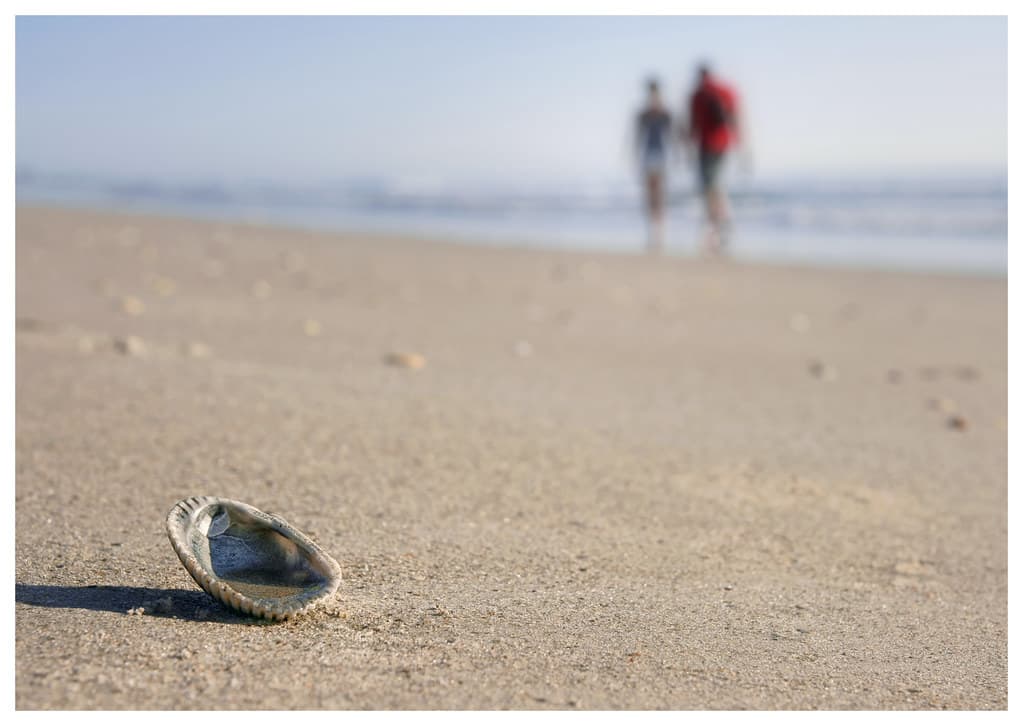Satellite Beach