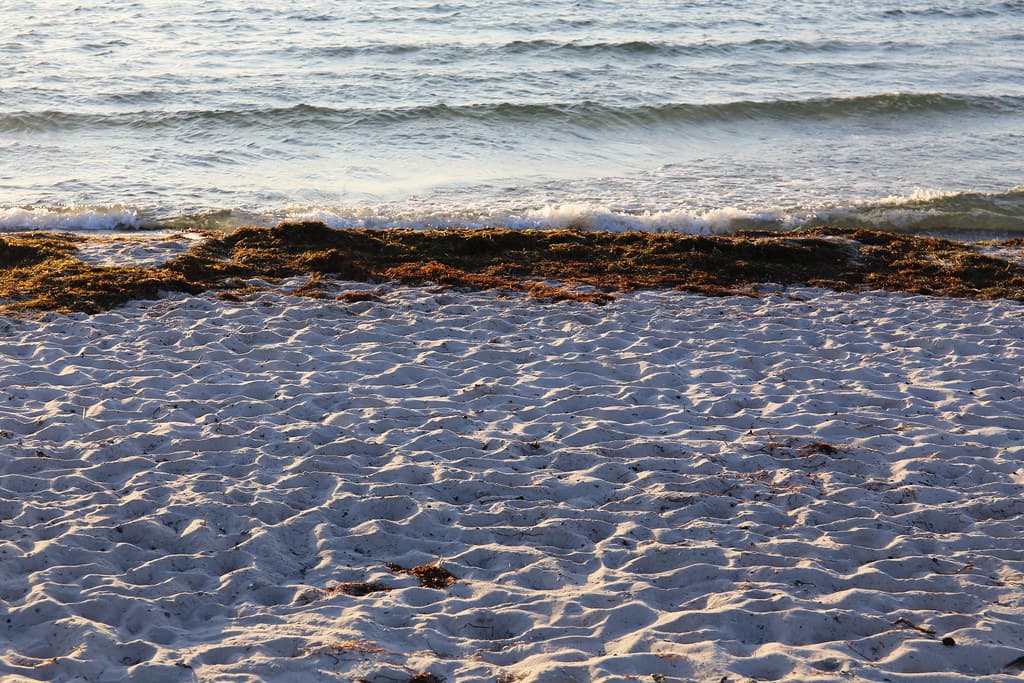 Höllviken Beach — photo by brandsvig