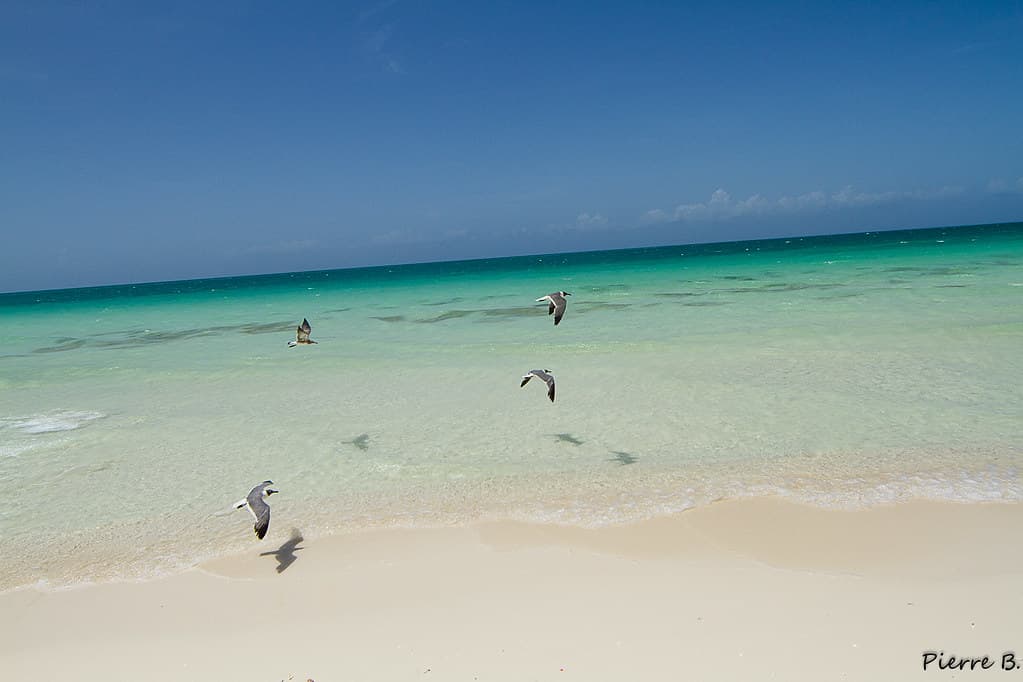 Playa Cañón — photo by Cibelle Estrelinha