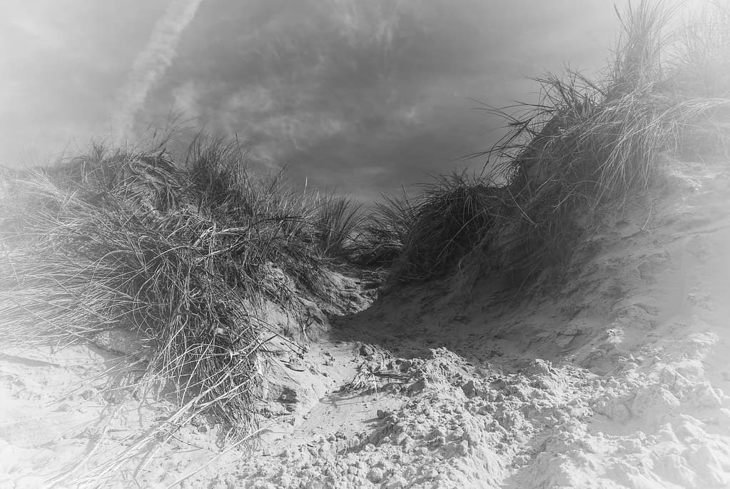 La chemin sur la dune