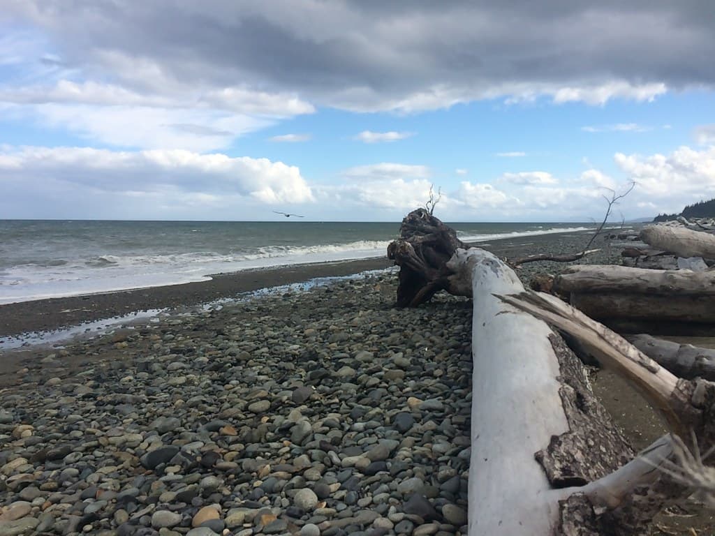 Agate Beach — photo by Christine Rondeau