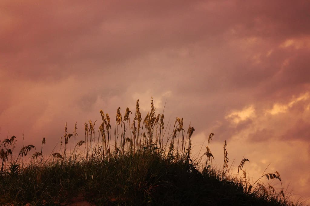 Eckner Street Beach — photo by Fire At Will [Photography]