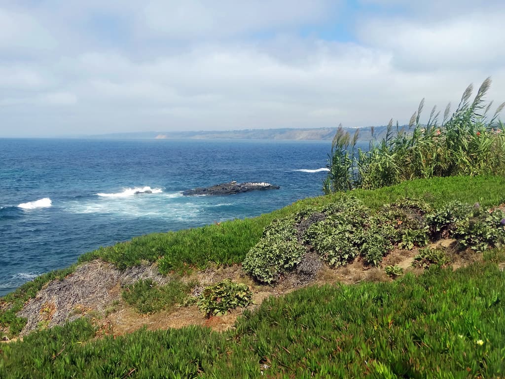 On the Edge, La Jolla, CA 9-17