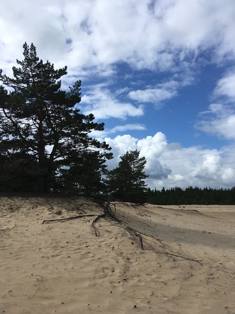 Kärdla Harbour Beach