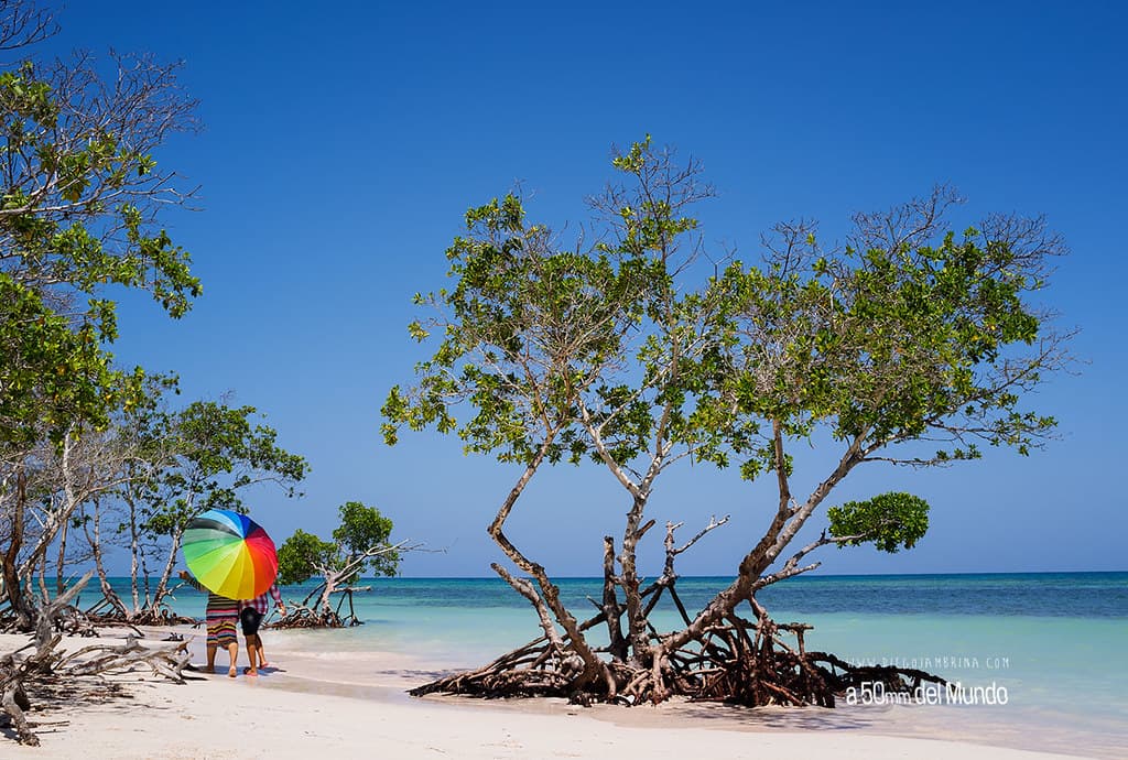 Playa Punta Norte de Cayo Jutías — photo by A 50mm del Mundo