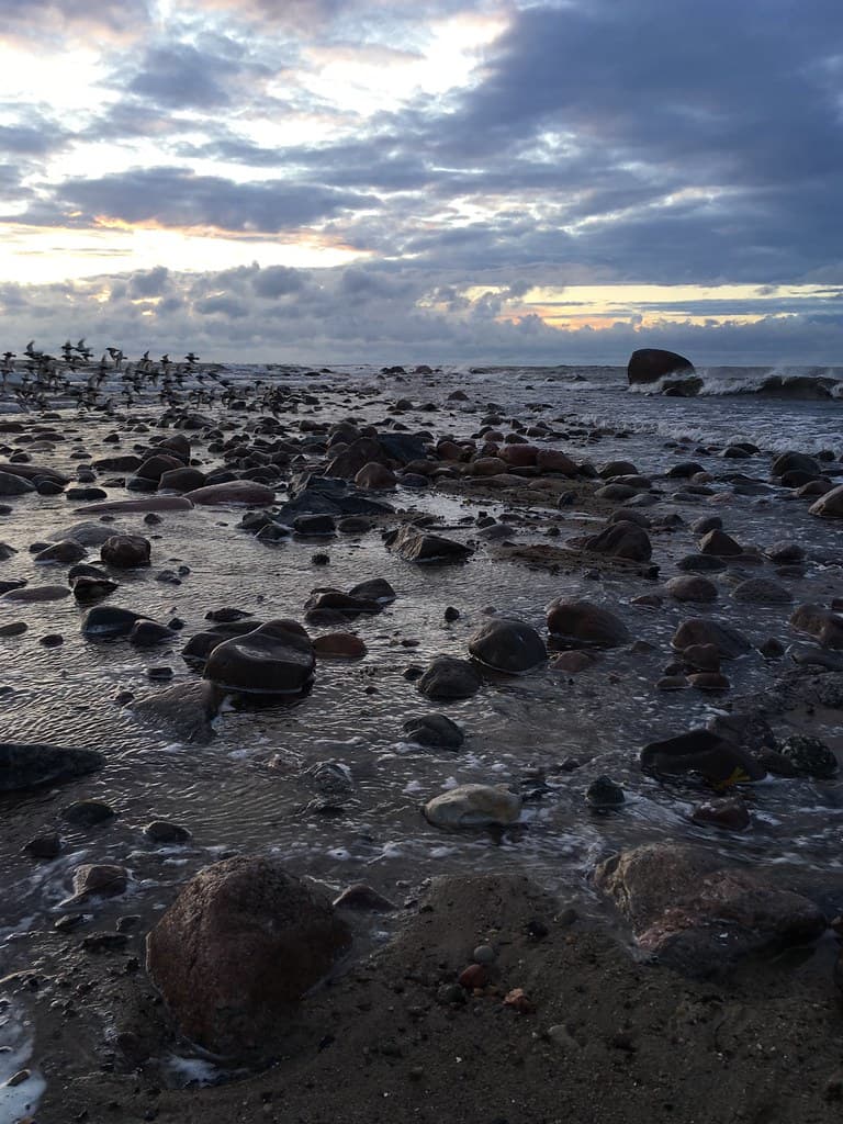 Malvaste Beach — photo by sergei.gussev