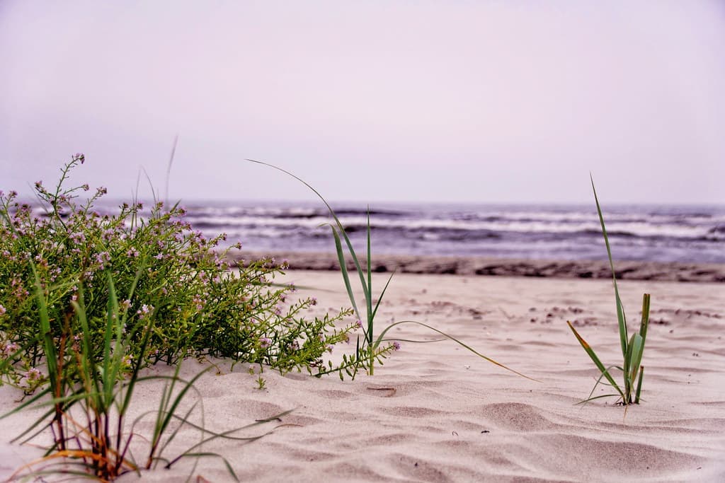 Breege Beach — photo by Smo42