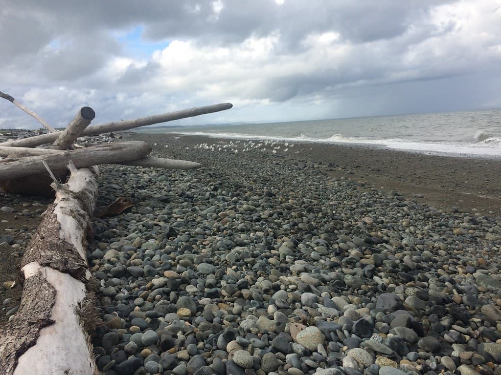 Agate Beach — photo by Christine Rondeau