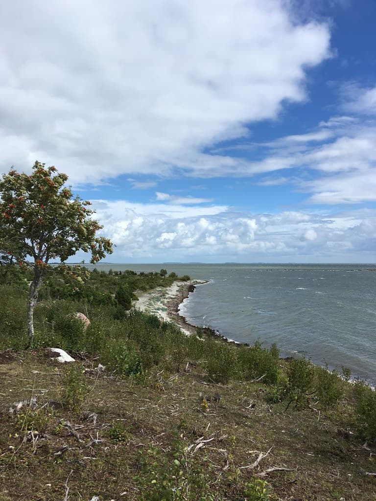 Kõverlaid Shore Beach — photo by sergei.gussev