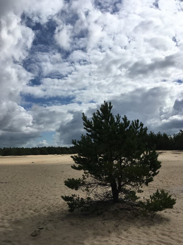 Kärdla Harbour Beach — photo by sergei.gussev