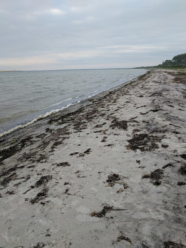 Eriks Hale Beach