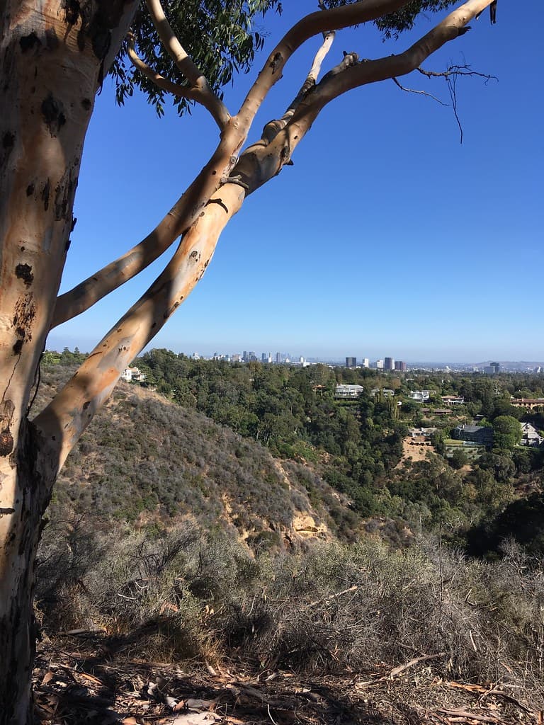 Pacific Palisades