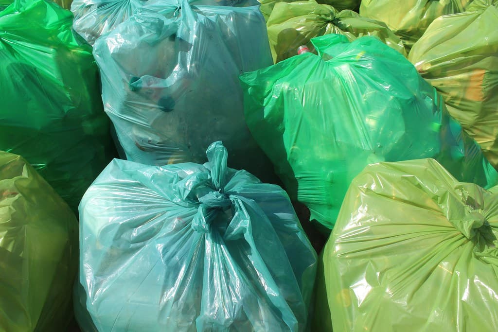 Mar del Plata 2017 050 Bagged litter