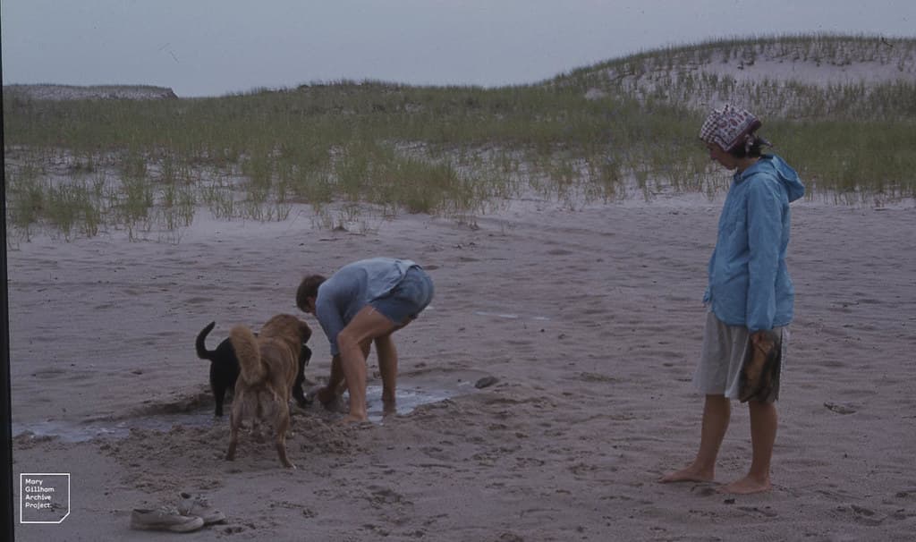 Sandy Neck Beach view 2