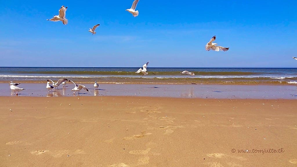 Texel Dunes Quiet Beach — photo by HereIsTom