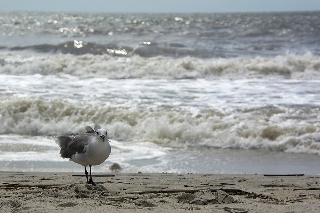 Come on in, the waters fine.