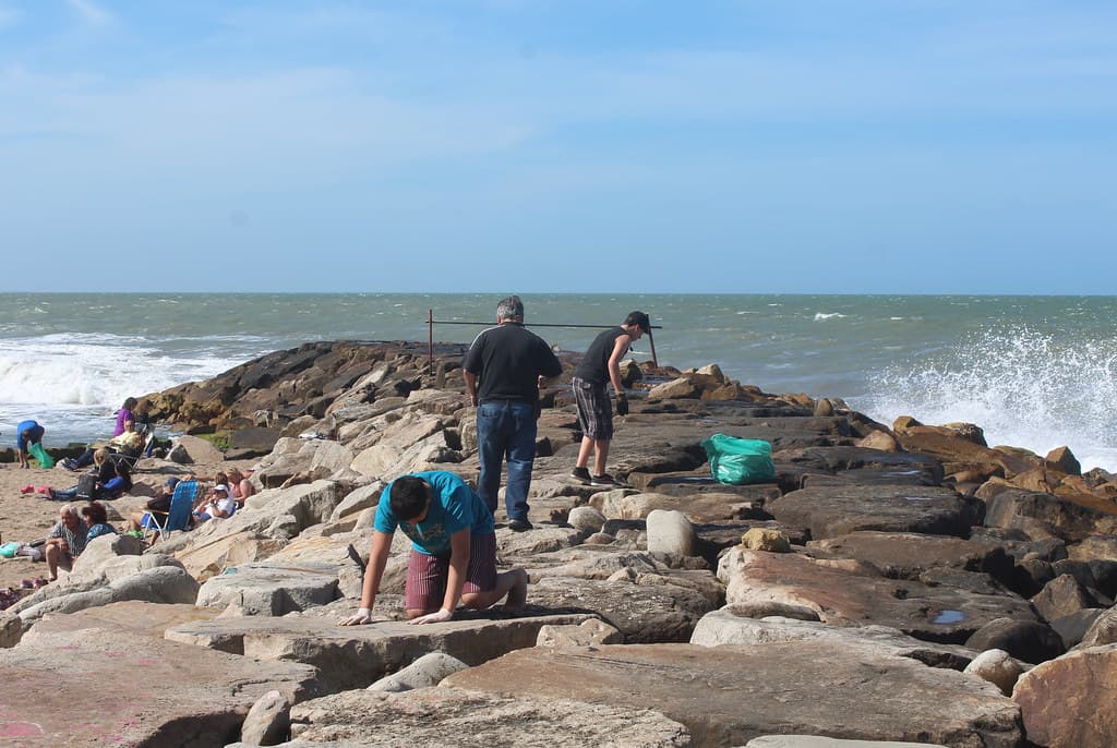 Mar del Plata 2017 069 Picking at the jetty