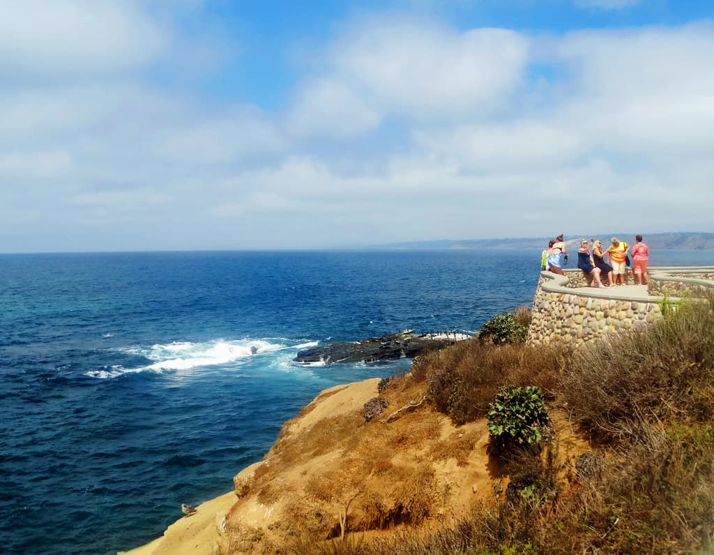 Selfies with the Seals, La Jolla, CA 9-2107