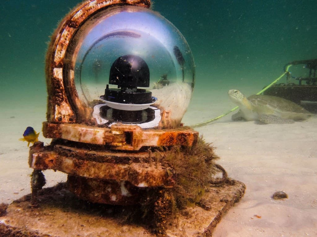 Navarre Reef Webcam Superstar
