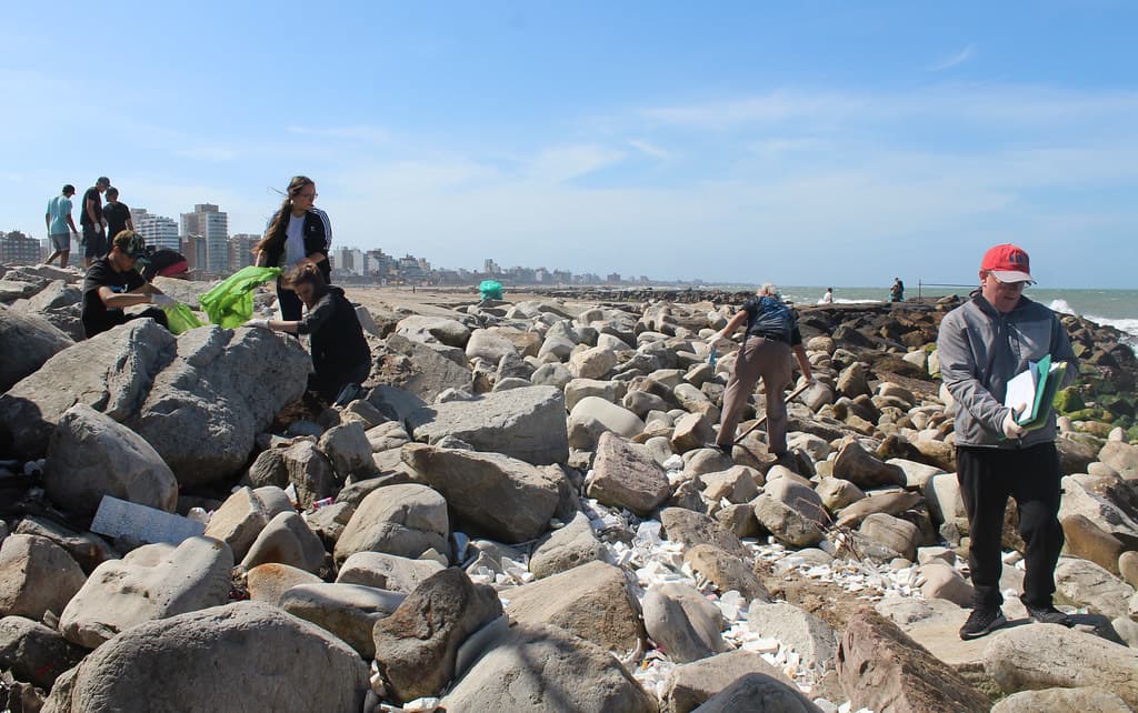 Mar del Plata 2017 039 Picking at the jetty