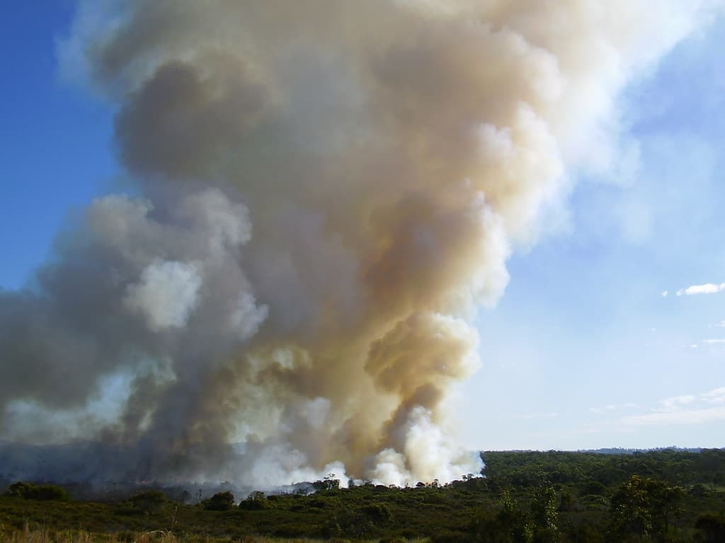 Burnoff at Arrawarra Headland 2