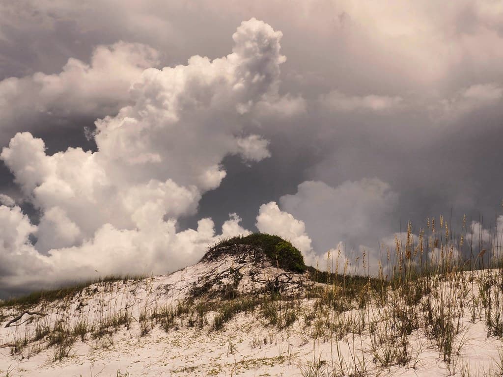 Tops'l Dune Scene