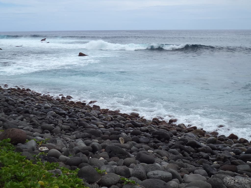 ️ eXploration 🌟 Reunion [La Réunion] (France) | 🌌Nature