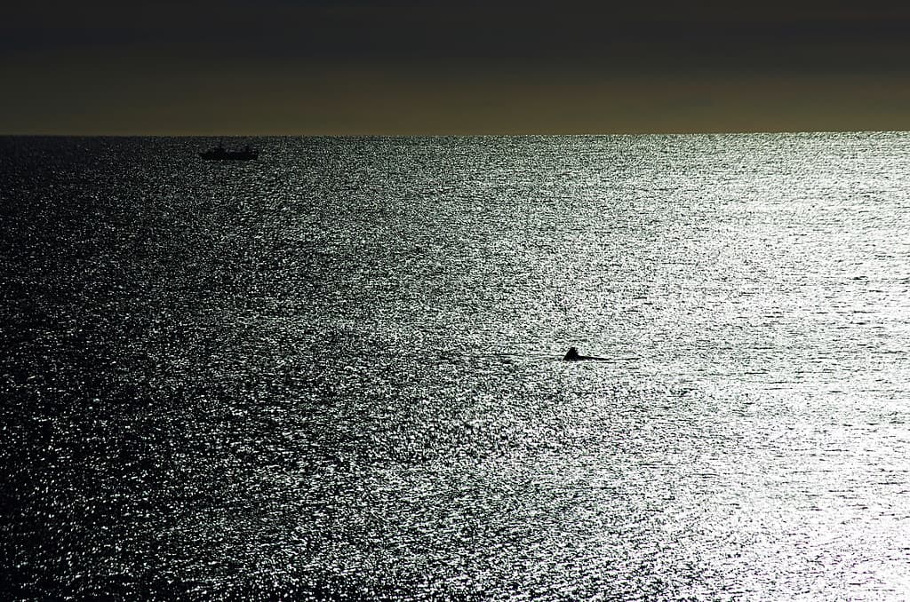 Playa Mimosa — photo by mujik estepario