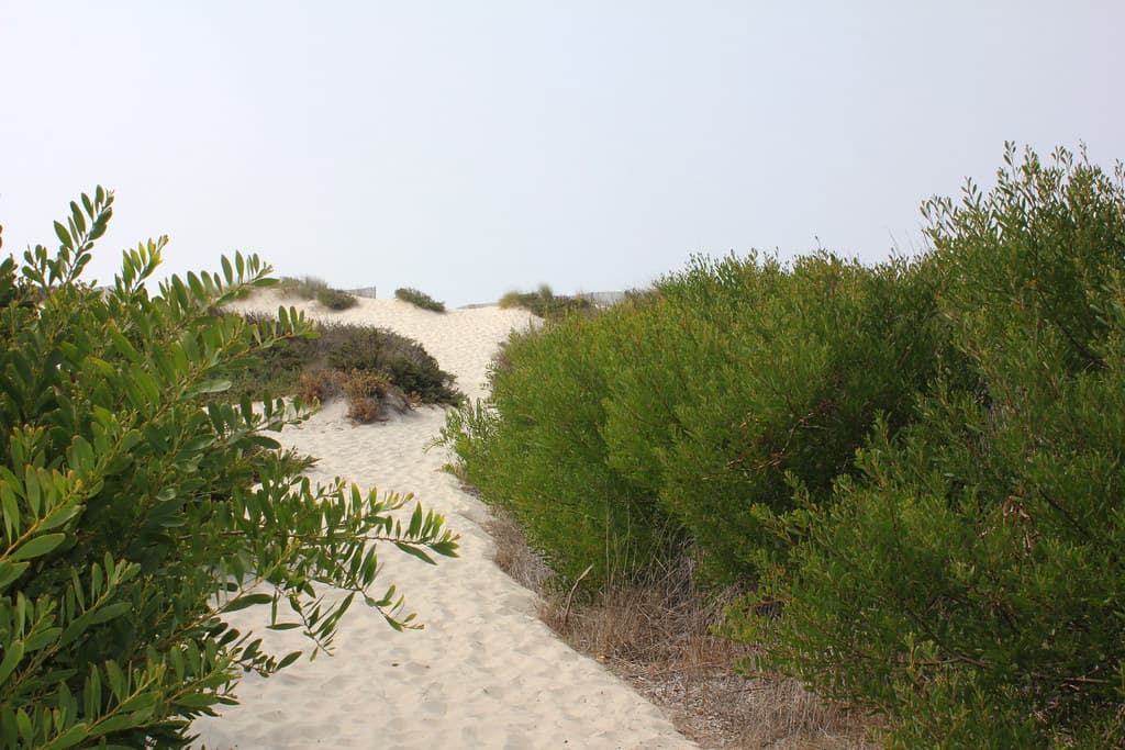 Praia da Costa Nova — photo by hans pohl