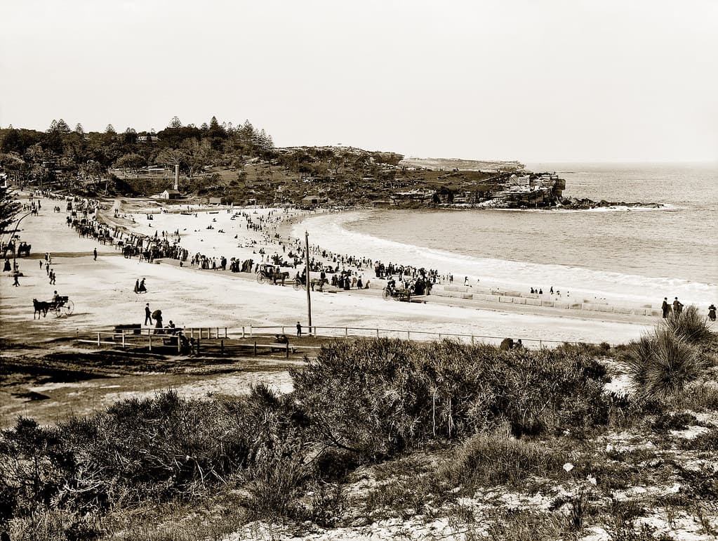 Dolphin Bay Beach