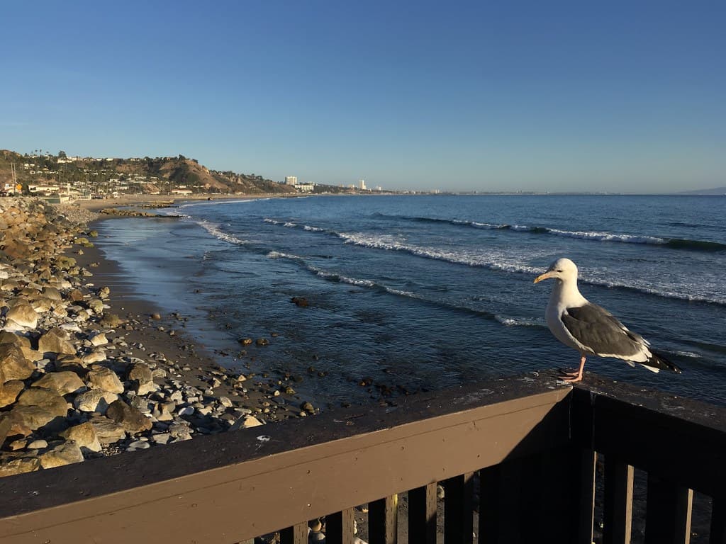 Pacific Palisades
