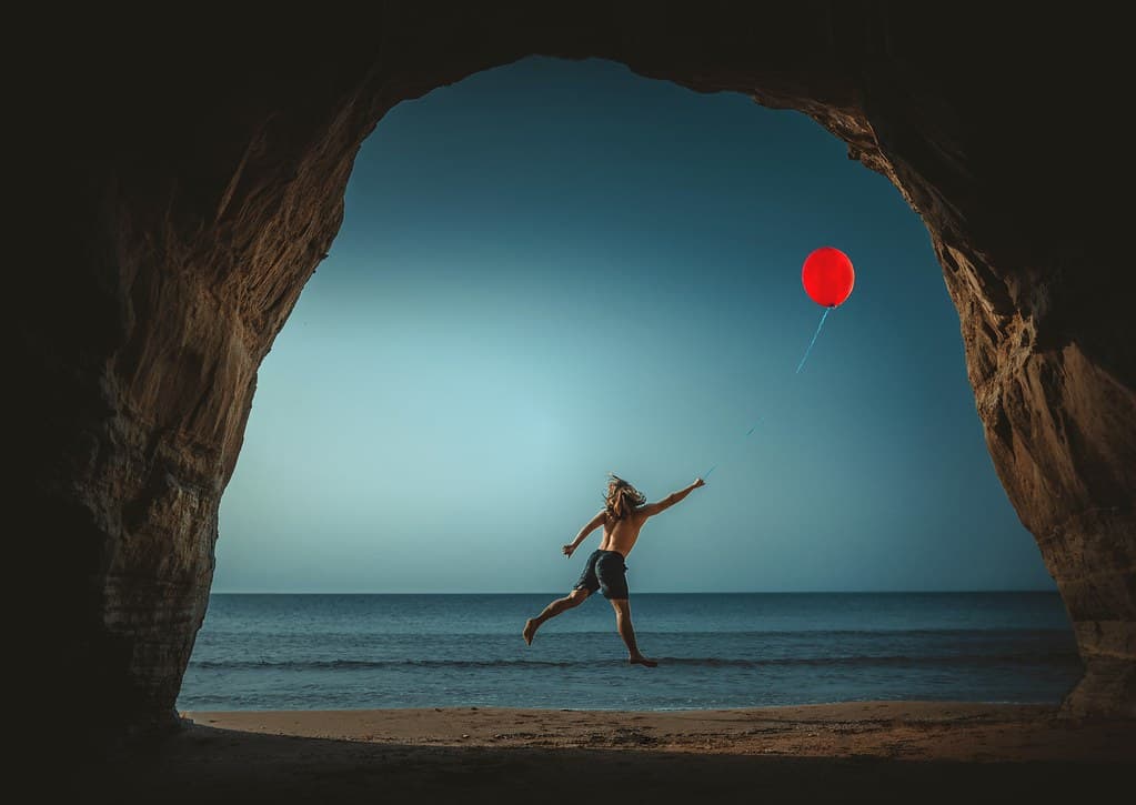 if you have a dream you can fly