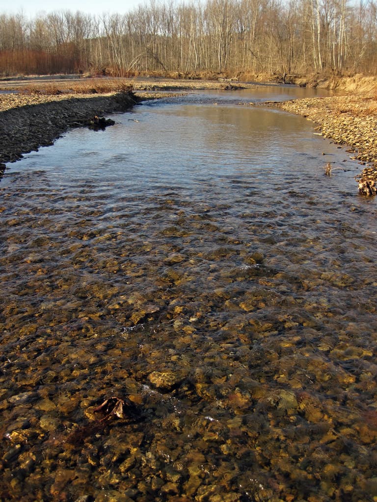 Salt Creek (Haynes, Hocking County, Ohio, USA) 22