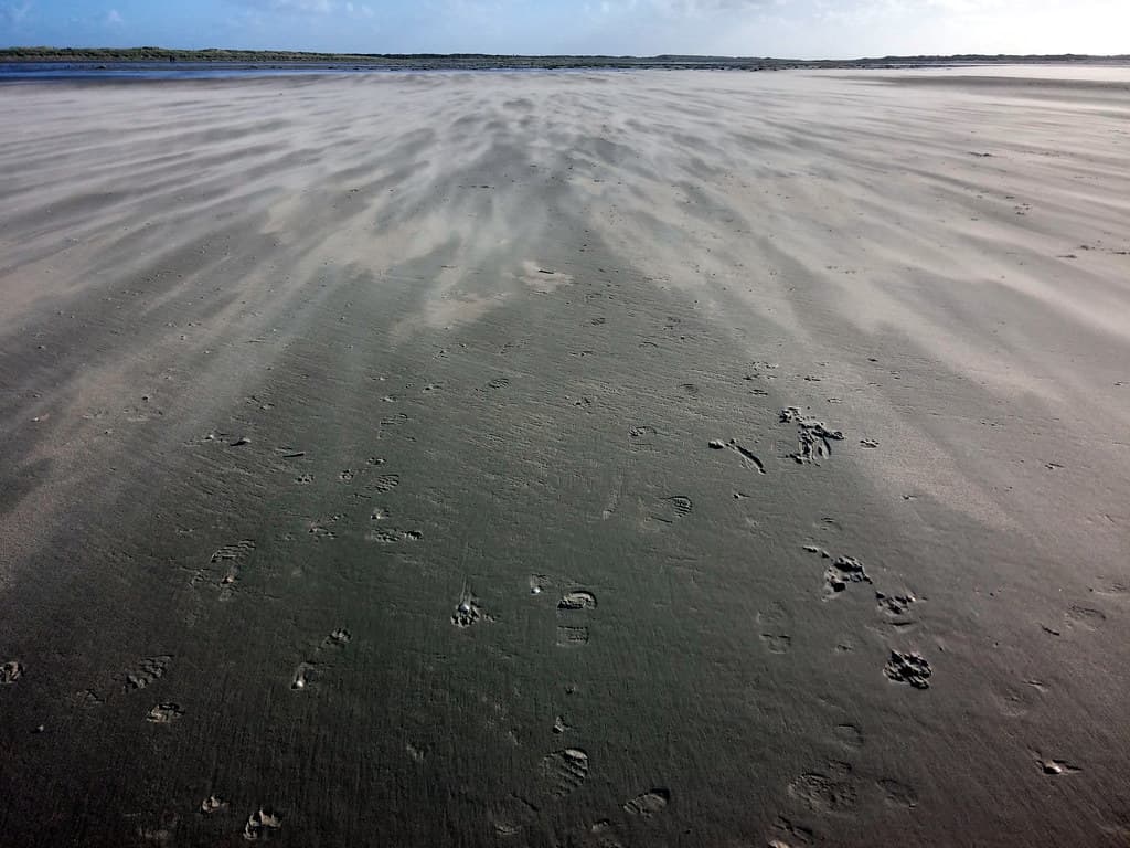 Mølby Beach — photo by greenoid