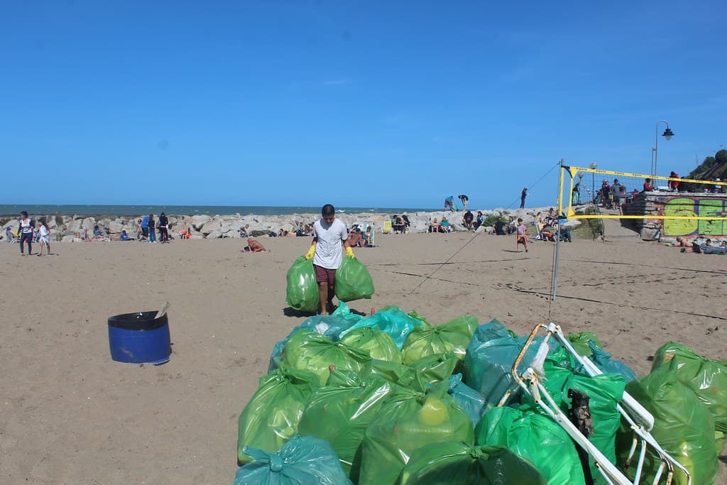 Mar del Plata 2017 083 Starting to bring it in