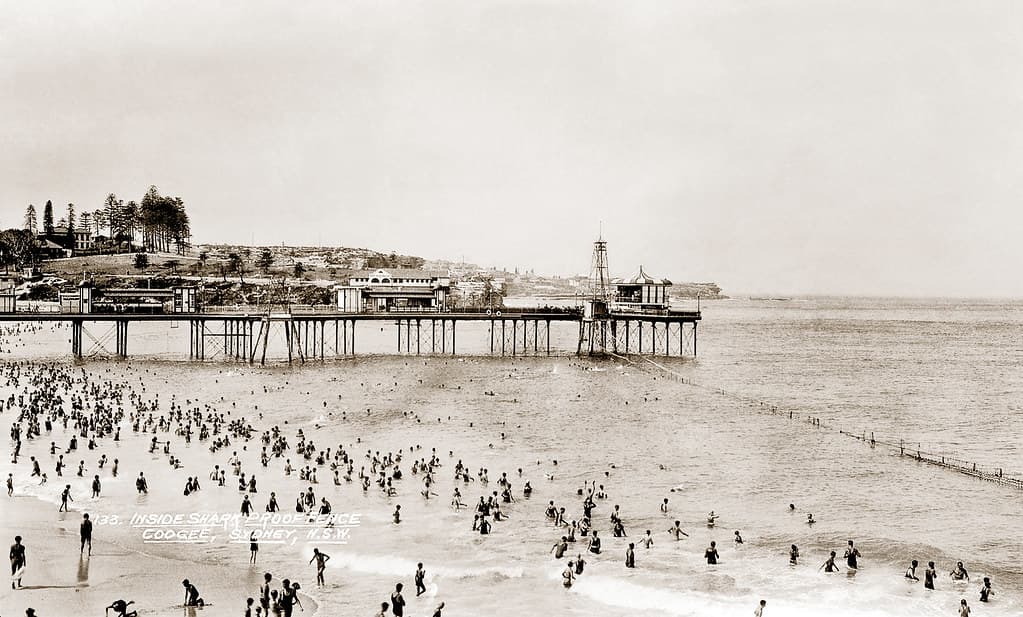 Pine Point Beach