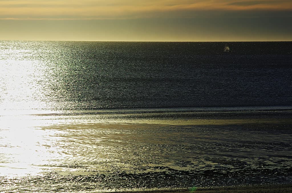 Playa Mimosa — photo by mujik estepario