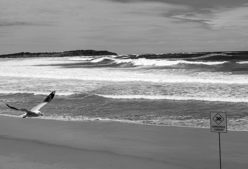 Surf's Up