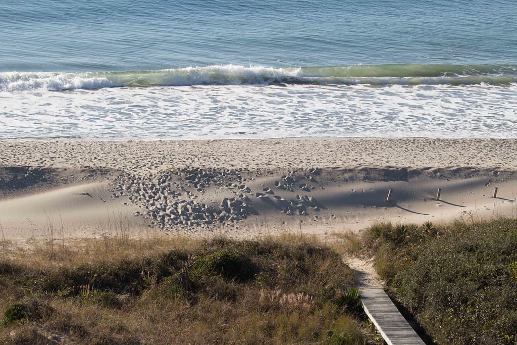 Folly Beach