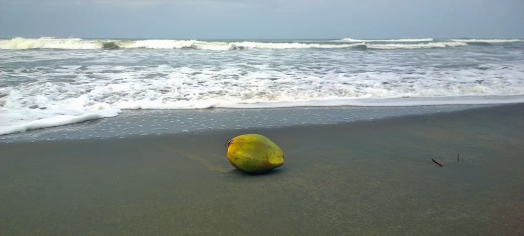 Playa Tortuguero Norte — photo by vic_206