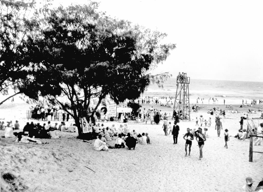 Beach scene and Coast Oak Trees, Maroochydore