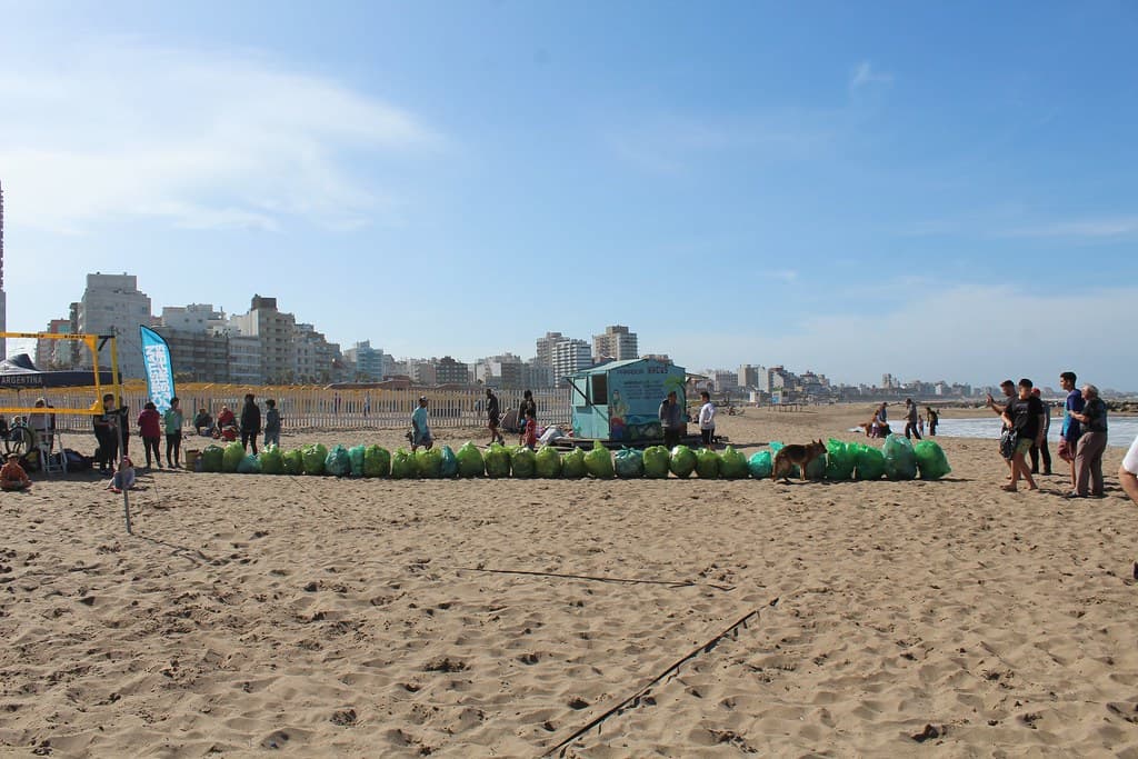 Mar del Plata 2017 086 Catch of the day